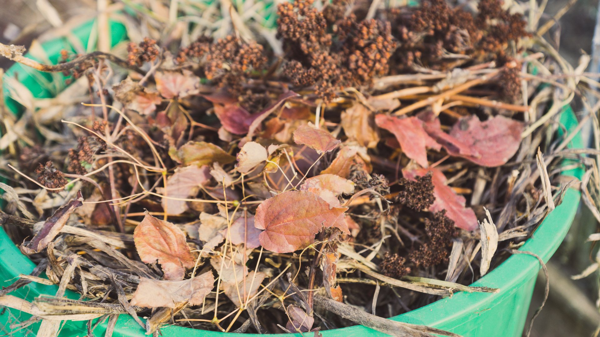 Fall Maintenance 101 - 6 Tasks That'll Help Get Your Yard in Its Best Shape