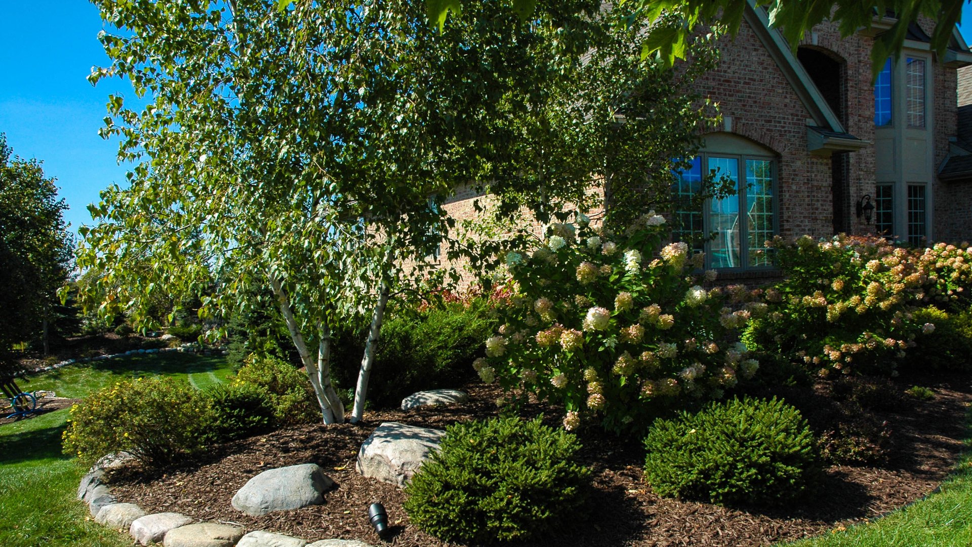 Don't Forget to Fertilize Your Trees & Shrubs This Fall!