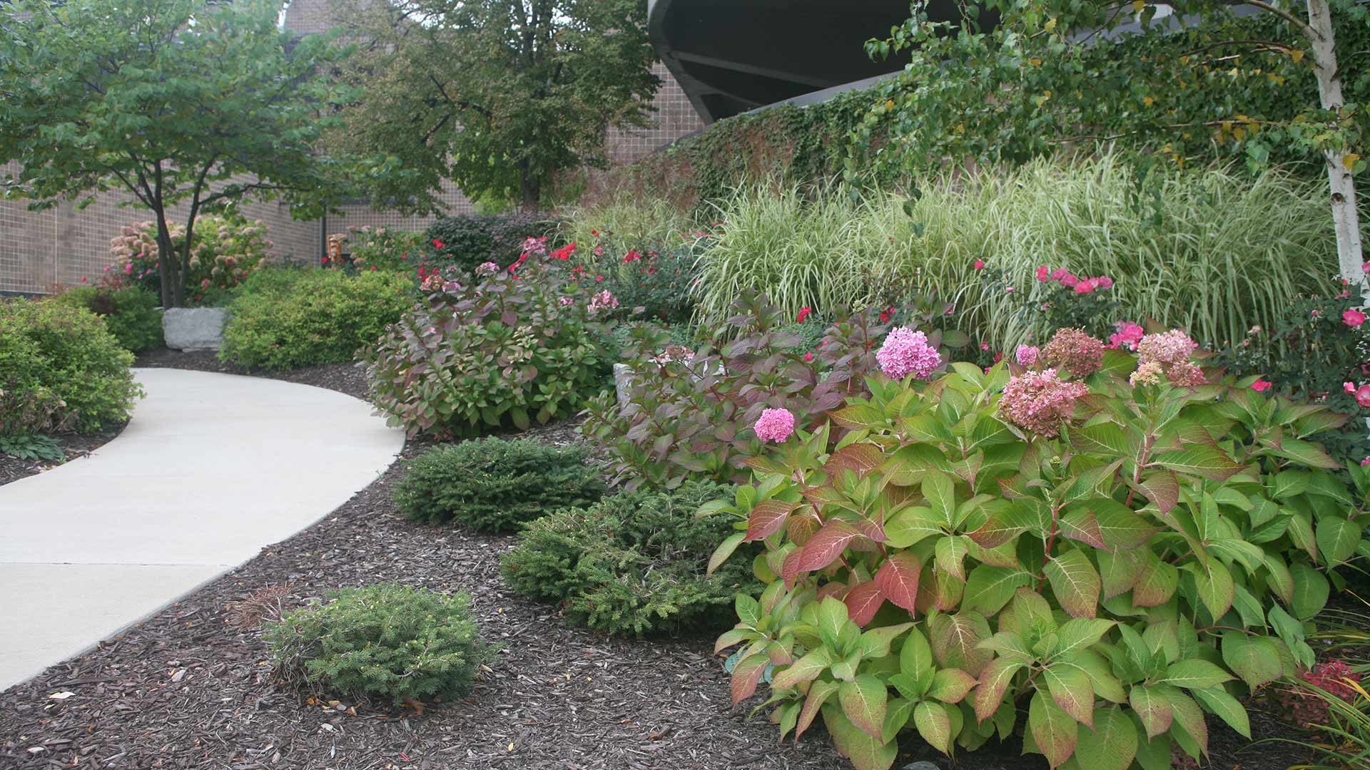 Landscaping installed with shrubs and plantings in DeWitt, MI.