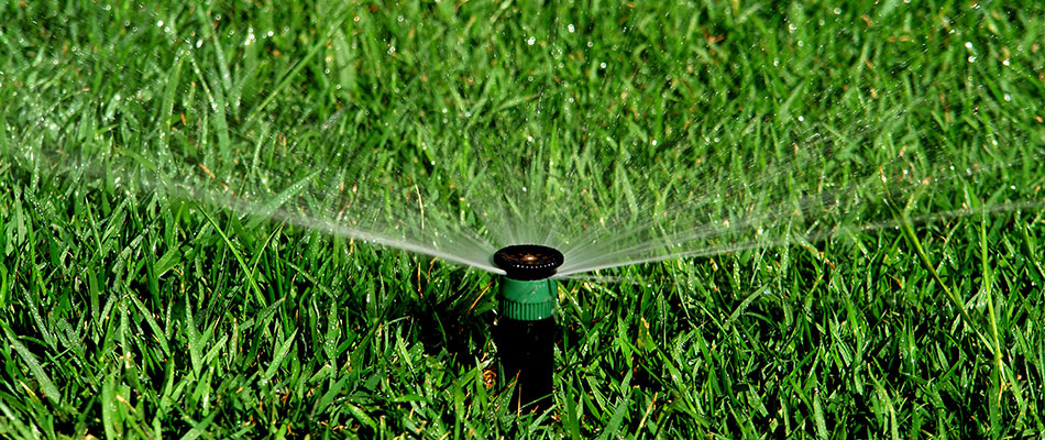 Irrigation sprinkler watering a luscious lawn in Lansing, MI.