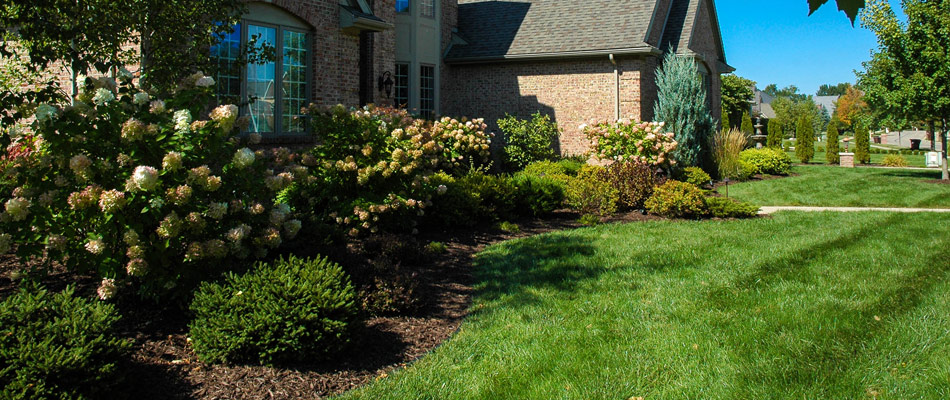 Maintained landscape and bed from a home in Delhi Charter Township, MI.