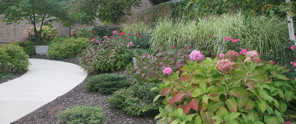Plantings and a softscape installed for a client's walkway in Williamston, MI.