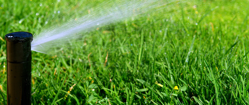 Sprinkler head in a lawn with high pressured water outtake in East Lansing, MI.