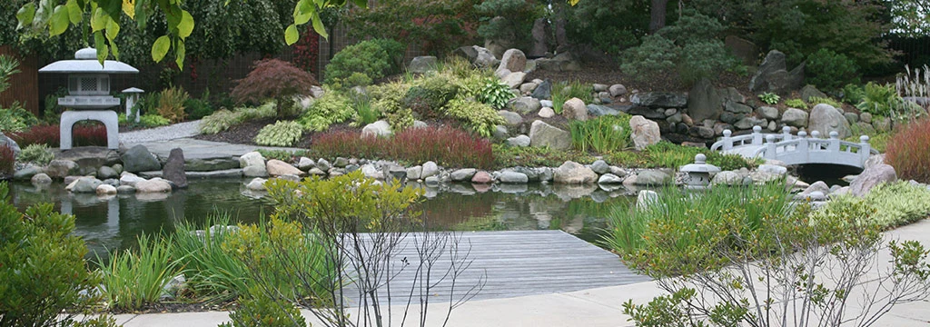 Pond with a landscaping maintained in DeWitt, MI.