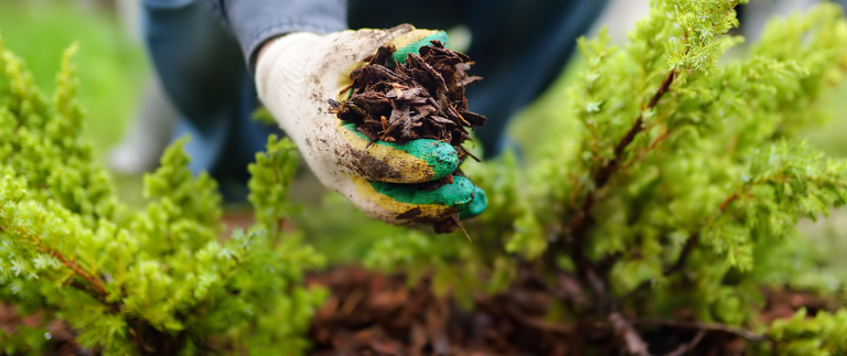 content-mulch-handfull