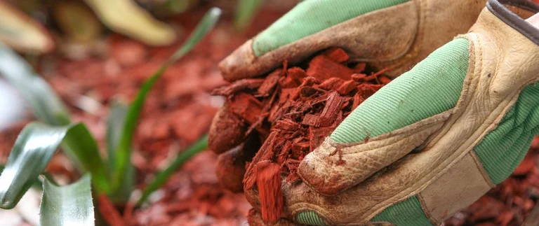 content-mulch-in-landscape-beds