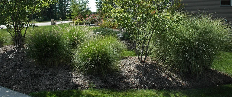 content-softscape-with-mulching-added